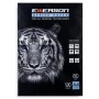 EMERSON Sheets of Paper ( A4 - 80g/m ) - Office Paper, Printer