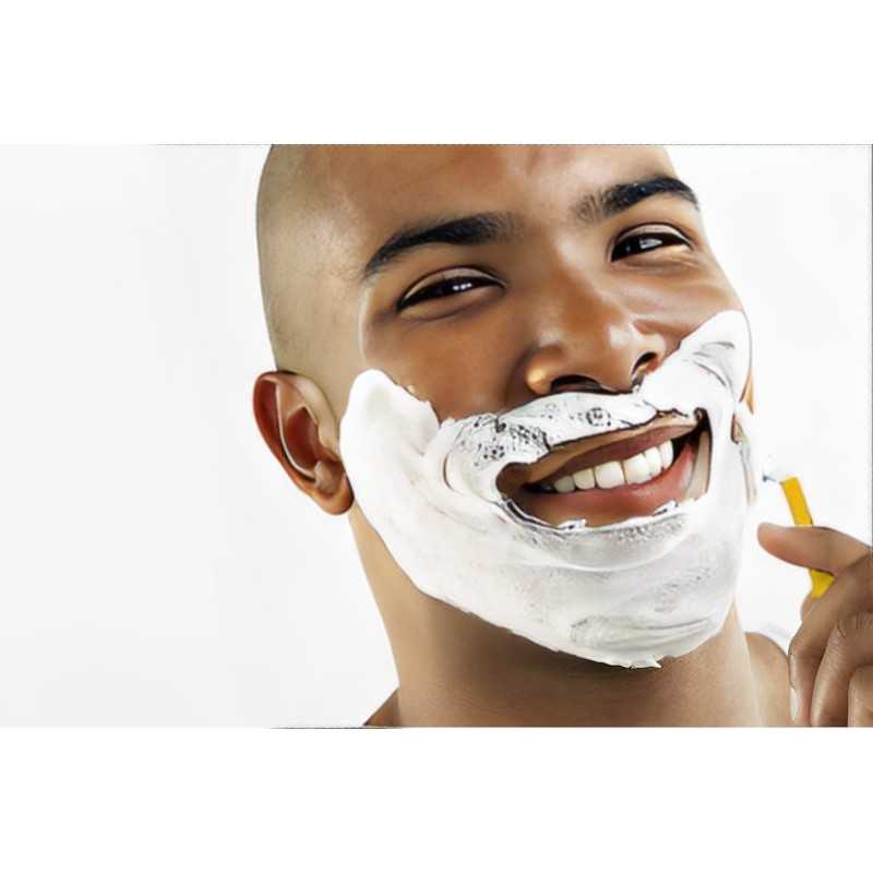 Bic Plastic Hand Shaver 1 Blade